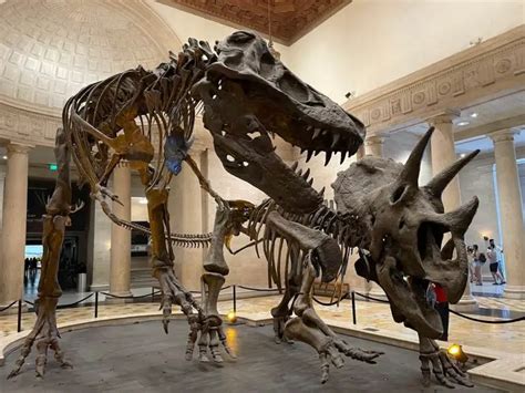 The Best Dinosaur Museums in the U.S. .